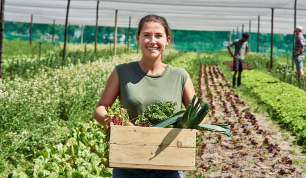 Farm Jobs in the Netherlands